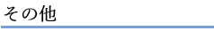 その他